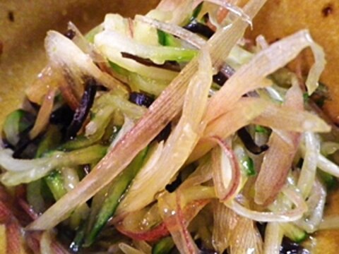 キュウリみょうがの塩昆布ごま油あえ レシピ 作り方 By Leopoo 楽天レシピ キュウリみょうがの塩昆布ごま油あえ レシピ 作り方 By Leopoo 楽天レシピ